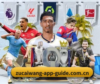 足彩网 APP